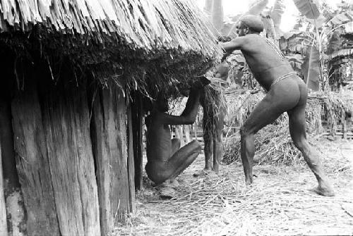 Apeori and other men trimming the grass over the sides of the honai