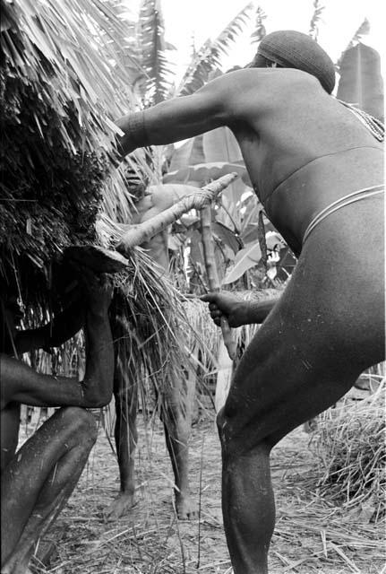 Apeori and other men trimming the grass over the sides of the honai
