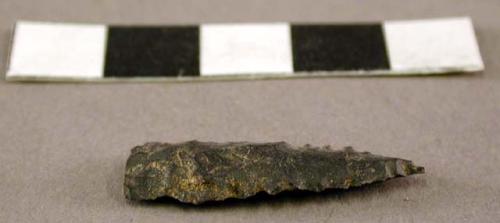 Chipped stone projectile point, side-notched, serrated