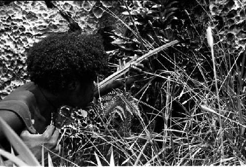 Walimo taking a drink from a spring, using part of a plant as a funnel