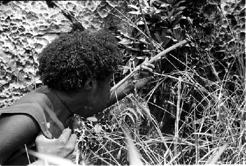 Walimo taking a drink from a spring, using part of a plant as a funnel