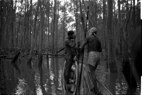 Paddlers resting in a mangrove swamp