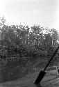 View of the river from the canoe