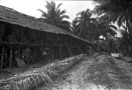 Canoes at a village covered with palm fronds