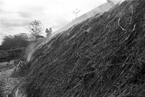 Smoke rising through the grass of the lise in the sili of Wuperainma