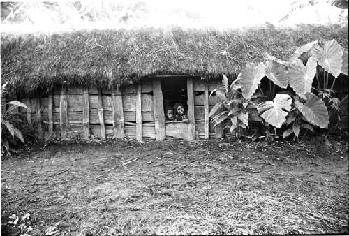 Children peering out of the hunu at Wuperainma at the ceremony to cure Loliluk's sick wife