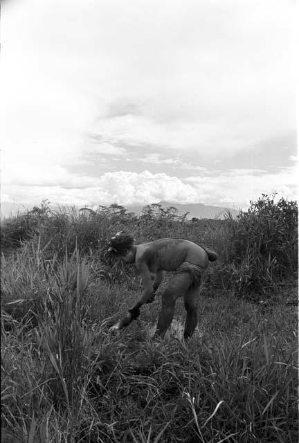Woman washing hiperi in the fields; she has clay on her