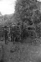 Distance shot of Asuk and other men remaking the welleleget (waroleget) during the wamkanneke at Tekman Biok's sili