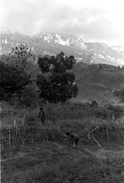 Two children throwing grass arrows at each other