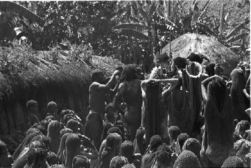 View over the backs of women of men hanging cowrie shells on the pia