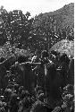 View over the backs of women of men hanging cowrie shells on the pia