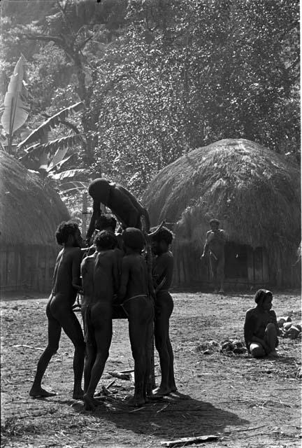 Preparing the pia with Yonokma in it; tying him into the pia during the early part of the ceremony