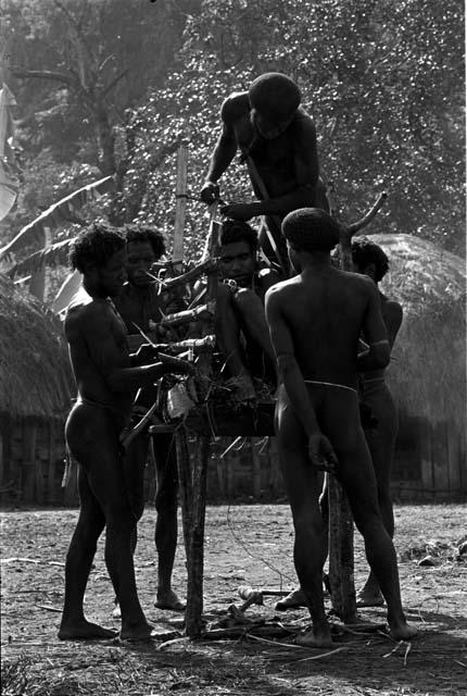 Preparing the pia with Yonokma in it; tying him into the pia during the early part of the ceremony