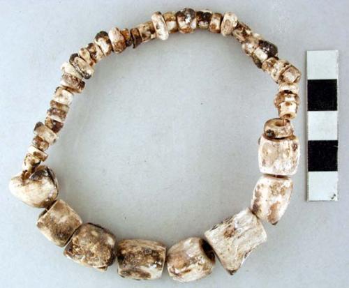 Strand of 42 shell beads