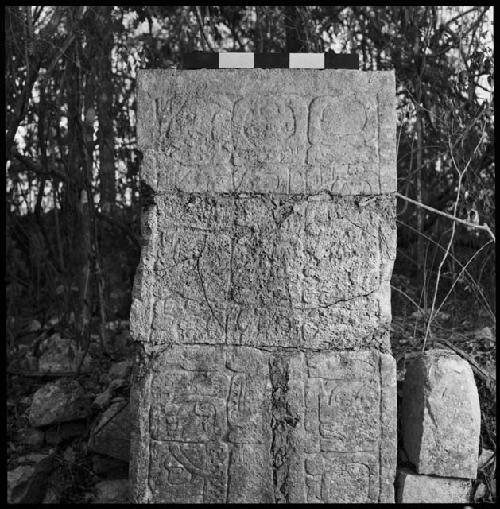 Jamb from Temple of Hieroglyph Jambs at Chichen Itza