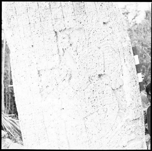 Detail of Stela 1 at Coba