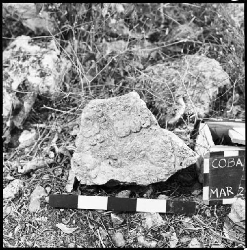 Stela 30 at Coba