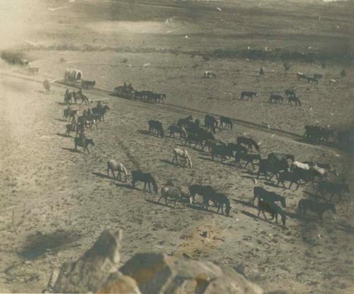 Navajo people with horses and wagon