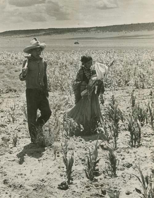 Lee Pino, wife and infant son in their cornfield