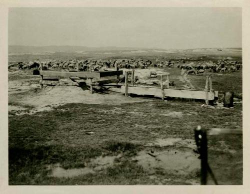 White Sulphur Spring on Navajo Reservation