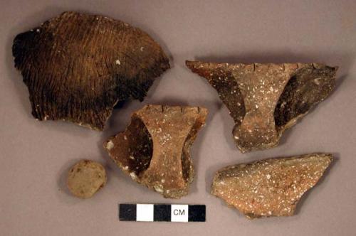 Ceramic, earthenware rim sherds, shell-tempered, notched rims and cord-impressed bodies, strap handles