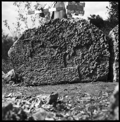 Fragment of Stela 19 at Coba