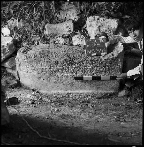 Fragment of Stela 19 at Coba