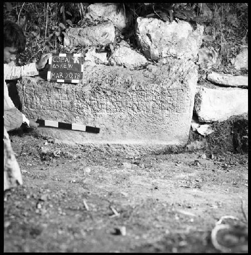 Fragment of Stela 19 at Coba