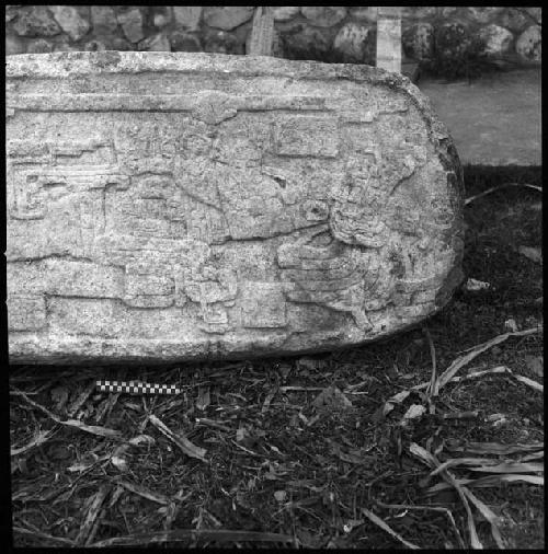 Stela 41 at Naranjo