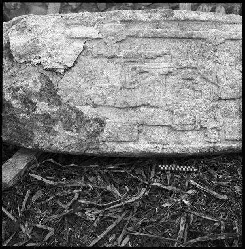 Stela 41 at Naranjo