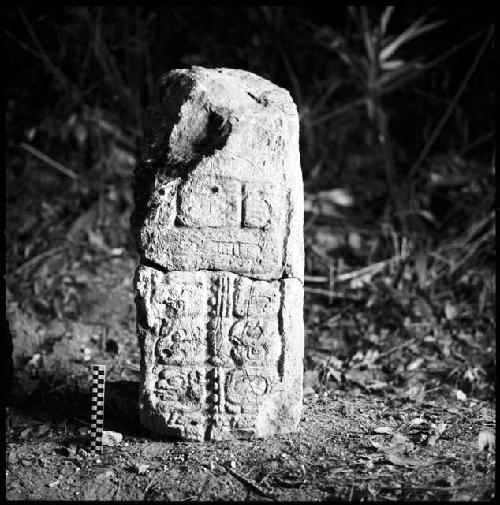 Stela 7 at Uaxactun