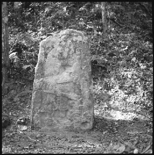 Stela 5 at Uaxactun