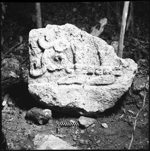 Stela 10 at Uaxactun