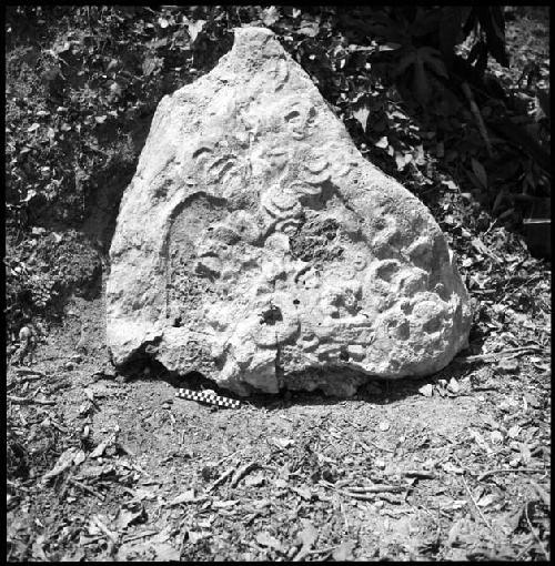 Stela 19 at Uaxactun