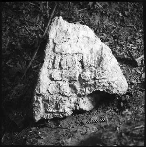 Stela 19 at Uaxactun