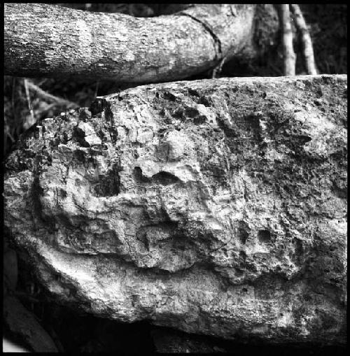 Detail of Stela 18 at Uaxactun