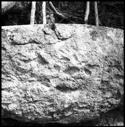 Detail of Stela 18 at Uaxactun