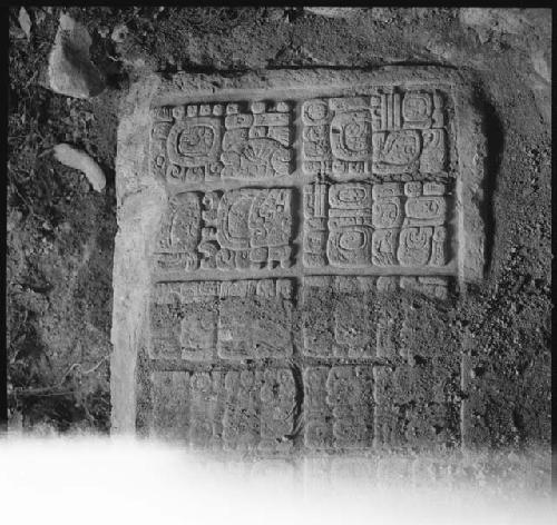 Upper step tread of Hieroglyphic Stairway 3 of Structure 44 at Yaxchilan