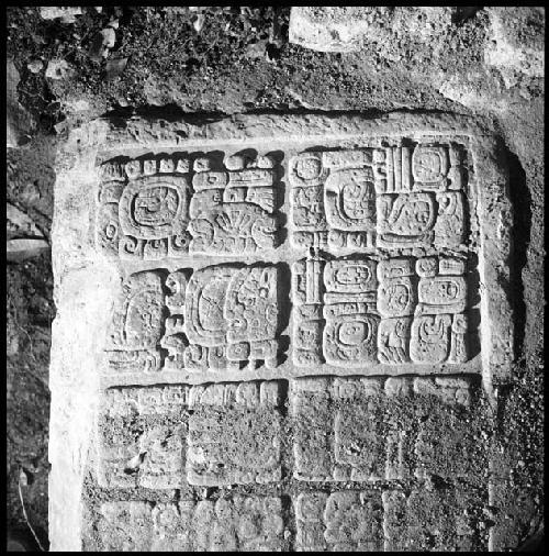 Upper step tread of Hieroglyphic Stairway 3 of Structure 44 at Yaxchilan