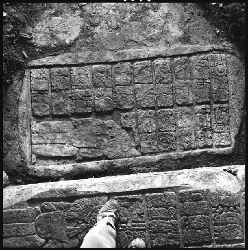 Lower step of Hieroglyphic Stairway 3 of Structure 44 at Yaxchilan