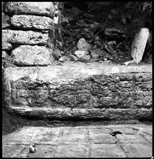 Upper step riser of Hieroglyphic Stairway 3 of Structure 44 at Yaxchilan