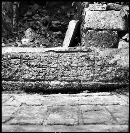 Upper step riser of Hieroglyphic Stairway 3 of Structure 44 at Yaxchilan