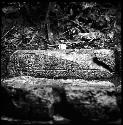 Stone I-1 from Hieroglyphic Stairway 1 of Structure 5 at Yaxchilan