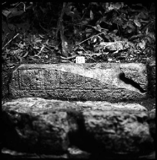 Stone I-1 from Hieroglyphic Stairway 1 of Structure 5 at Yaxchilan