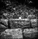 Stone I-2 from Hieroglyphic Stairway 1 of Structure 5 at Yaxchilan