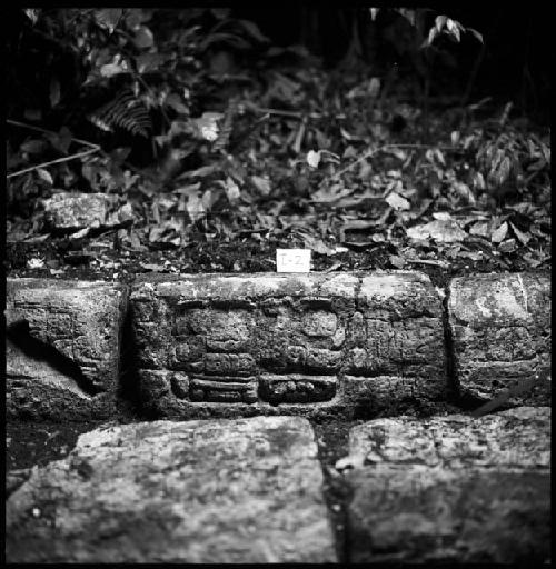 Stone I-2 from Hieroglyphic Stairway 1 of Structure 5 at Yaxchilan