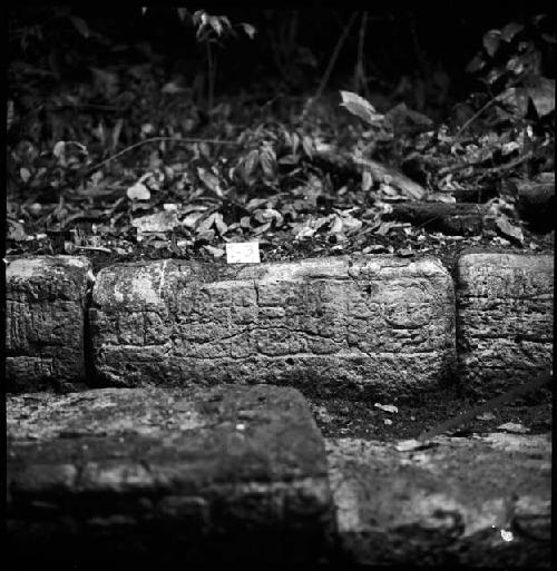 Stone I-3 from Hieroglyphic Stairway 1 of Structure 5 at Yaxchilan