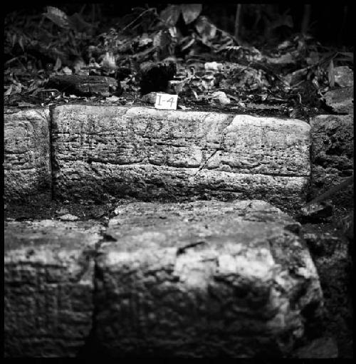 Stone I-4 from Hieroglyphic Stairway 1 of Structure 5 at Yaxchilan