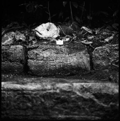 Stone I-6 from Hieroglyphic Stairway 1 of Structure 5 at Yaxchilan