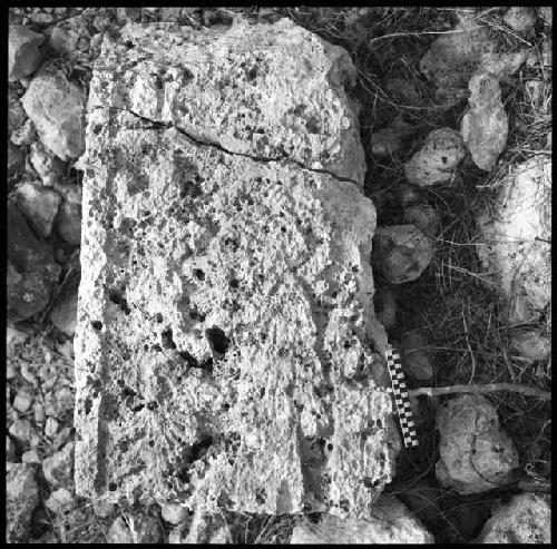 Fragments of Stela 6 at Uxmal